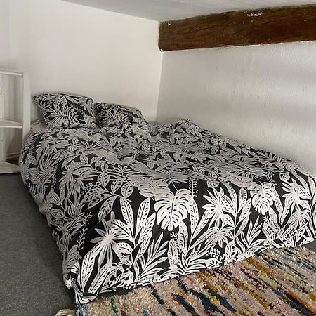 Appartement De Caractere Au Coeur Du Centre-Ville Montpellier Zewnętrze zdjęcie