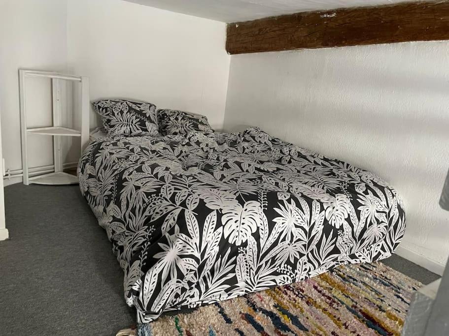 Appartement De Caractere Au Coeur Du Centre-Ville Montpellier Zewnętrze zdjęcie